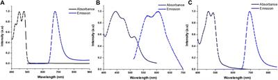 Heteroacene-Based Amphiphile as a Molecular Scaffold for Bioimaging Probes